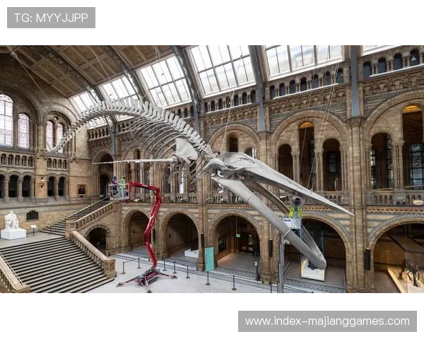 英超历史博物馆开幕，展出经典比赛影像